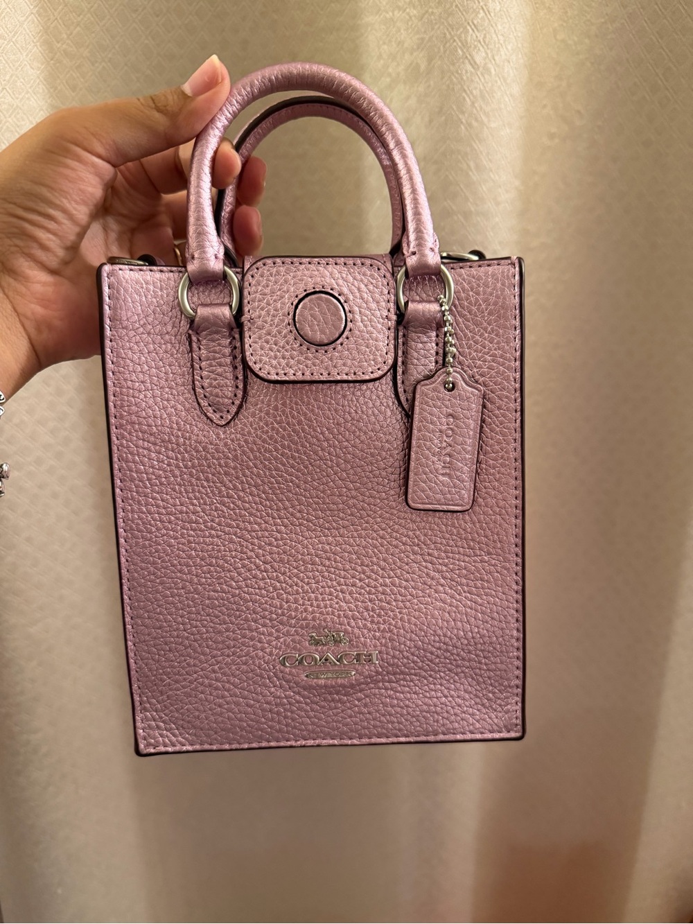 Coach North South Mini Tote